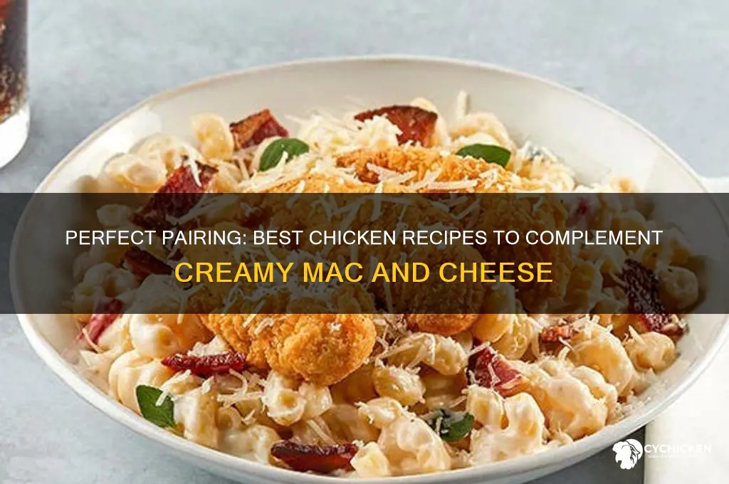 what chicken goes with mac and cheese