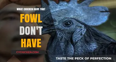 Unique Traits: What Sets Chickens Apart from Other Fowl?