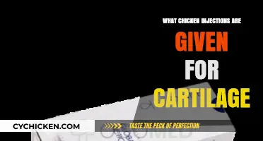 Cartilage Health in Chickens: Essential Injections for Joint Support