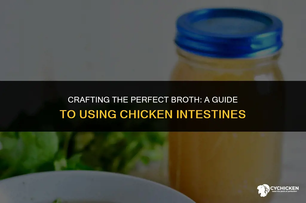 what chicken intestine can i put to make broth