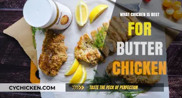 Perfect Butter Chicken: Choosing the Best Chicken Cut for Rich Flavor