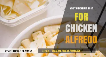 Perfect Chicken Alfredo: Choosing the Best Chicken for Creamy Perfection