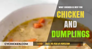 Perfect Chicken and Dumplings: Choosing the Best Chicken for Ultimate Comfort