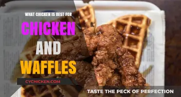 Perfect Chicken and Waffles: Top Chicken Choices for Crispy, Juicy Bliss