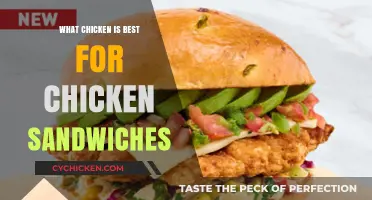 Perfect Chicken Sandwich: Top Breeds for Juicy, Flavorful Results