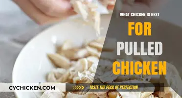 Best Chicken Cuts for Perfectly Tender Pulled Chicken Recipes