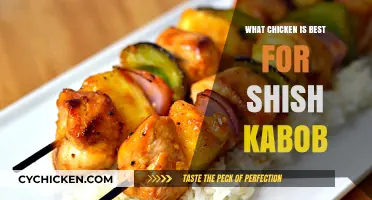 Perfect Shish Kabob Chicken: Choosing the Best Cut for Grilling