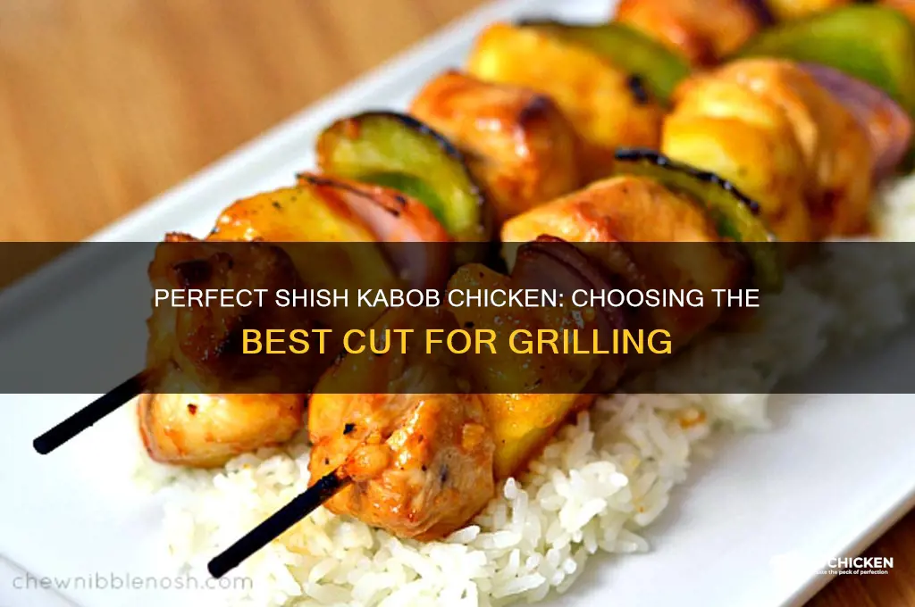 what chicken is best for shish kabob