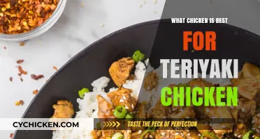 Perfect Teriyaki Chicken: Choosing the Best Chicken Cut for Flavor