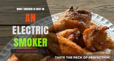 Top Electric Smoker Chicken Picks: Juicy, Flavorful, and Perfectly Smoked