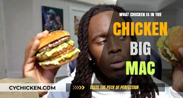 What Chicken is in the Chicken Big Mac: Ingredients Explained