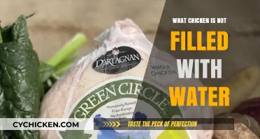 Discovering Water-Free Chicken: A Guide to Natural, High-Quality Poultry