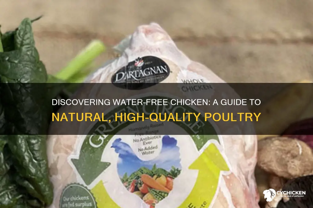 what chicken is not filled with water