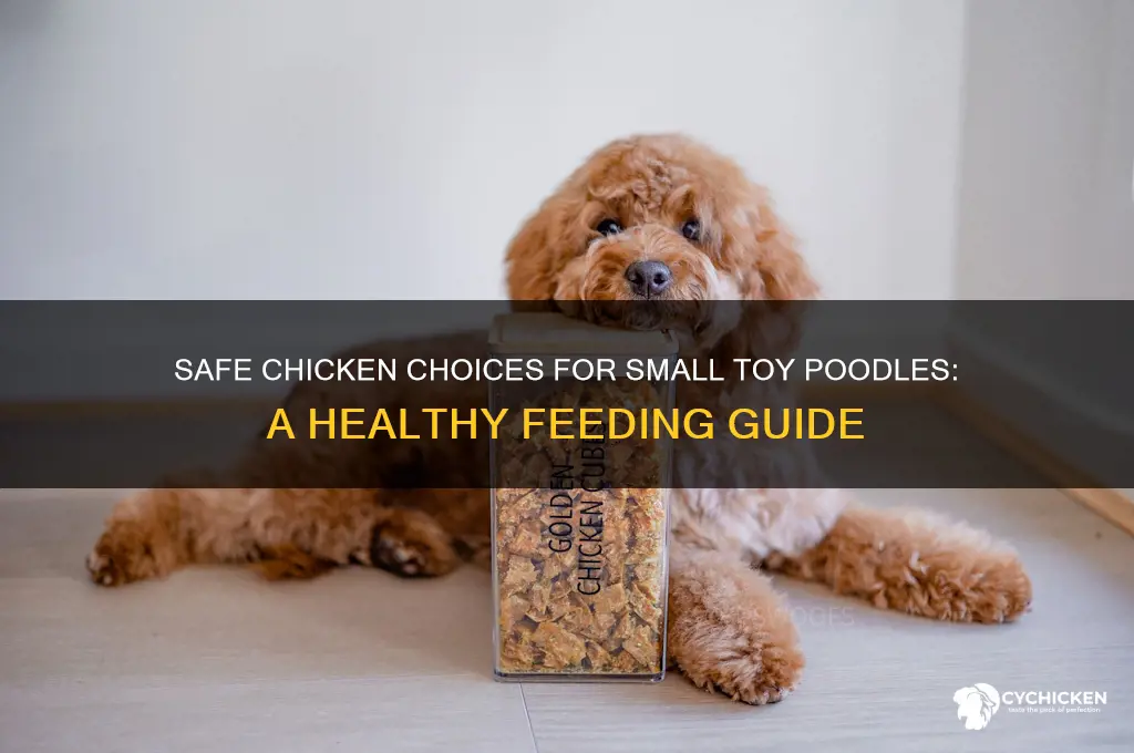 what chicken is ok for small toy poodles