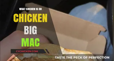 Unveiling the Mystery: What Chicken is on the Chicken Big Mac?