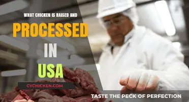 Discovering USA-Raised and Processed Chicken: A Comprehensive Guide