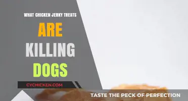 Chicken Jerky Treats: Uncovering the Deadly Danger to Dogs