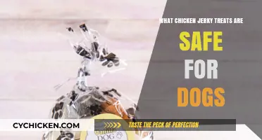 Safe Chicken Jerky Treats for Dogs: A Comprehensive Guide
