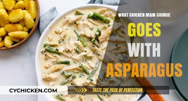 Delicious Chicken Main Course Pairings to Elevate Your Asparagus Dish