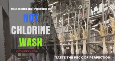 Why Chicken Producers Avoid Chlorine Washing: A Closer Look