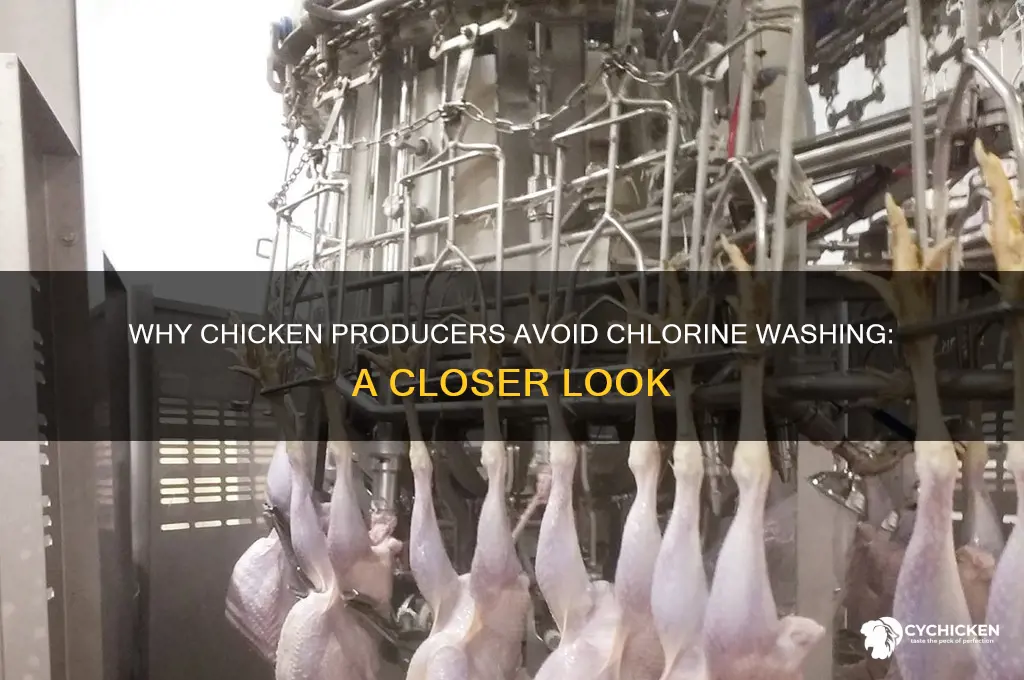 what chicken meat producers do not chlorine wash