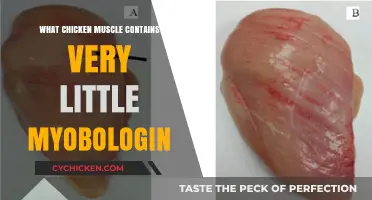 Chicken Muscle Mystery: Uncovering Low Myoglobin Content in Specific Tissues