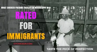 Chicken Plant in Mississippi: Immigrants' Hardships and Triumphs