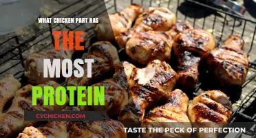 Maximize Your Protein Intake: Discover the Chicken Part with the Highest Protein Content