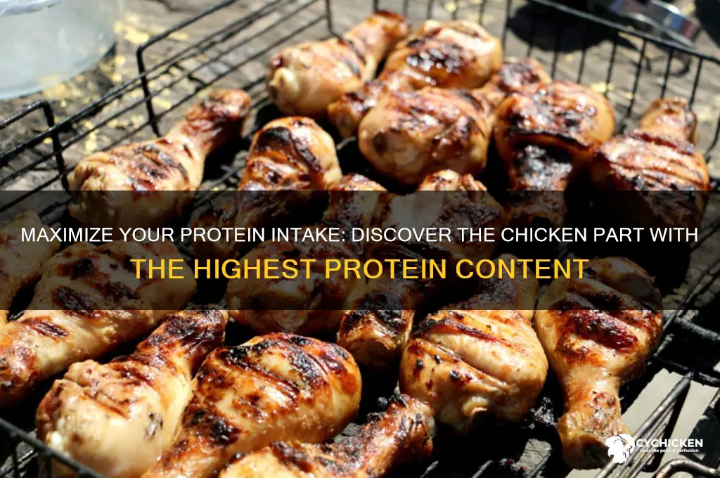 what chicken part has the most protein