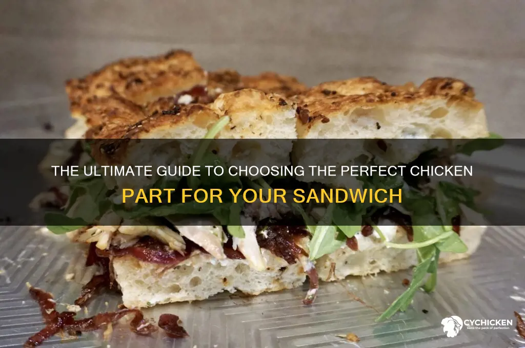 what chicken part in a chicken sandwhich