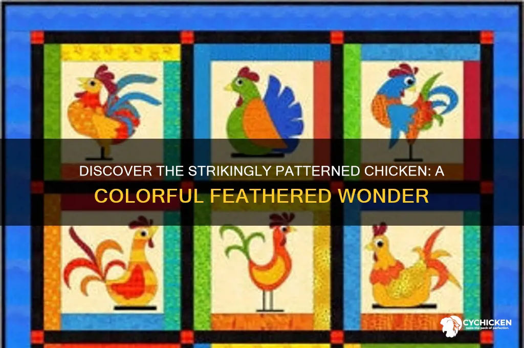 what chicken possesses an intricate color pattern