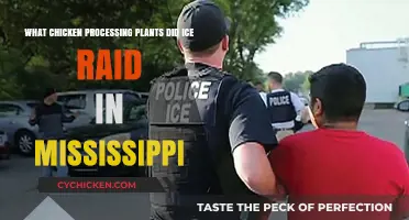 ICE Raids: Mississippi Chicken Plants in Focus