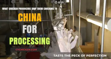 Chicken Processing: Which US Companies Outsource to China?