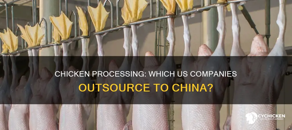 what chicken producers ship their chickens to china for processing