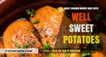 Delicious Chicken and Sweet Potato Pairings: Perfect Recipes to Try
