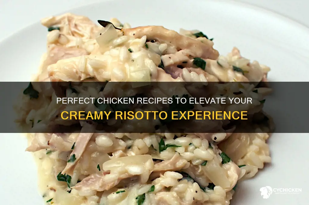what chicken recipie to pair with risotto