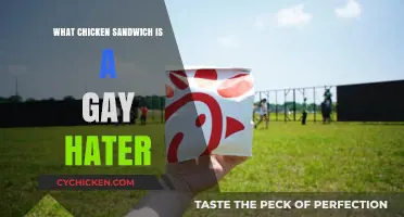 Unveiling the Controversial Chicken Sandwich Linked to Anti-LGBTQ+ Stance