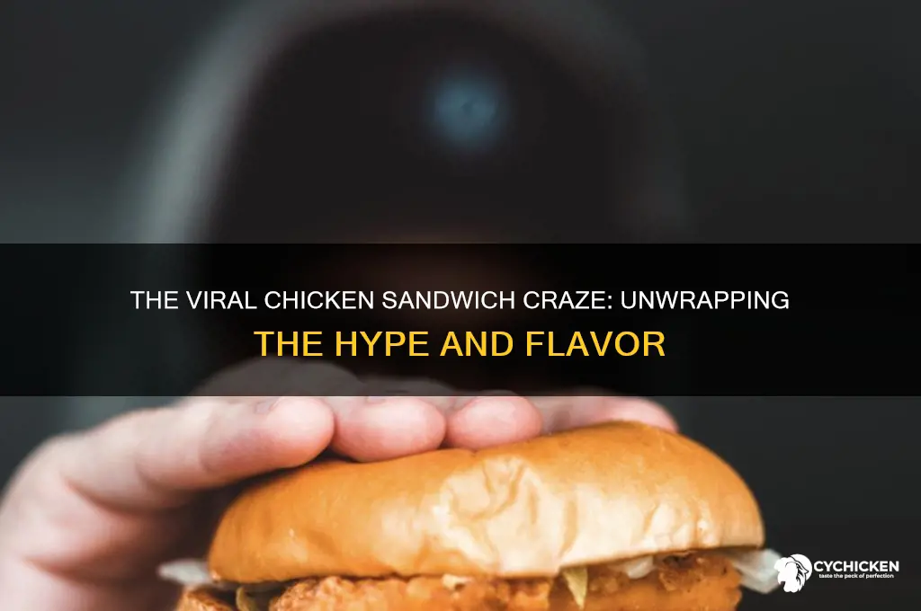 what chicken sandwich is everyone talking about