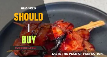 Choosing the Best Chicken: A Guide to Buying Quality Poultry
