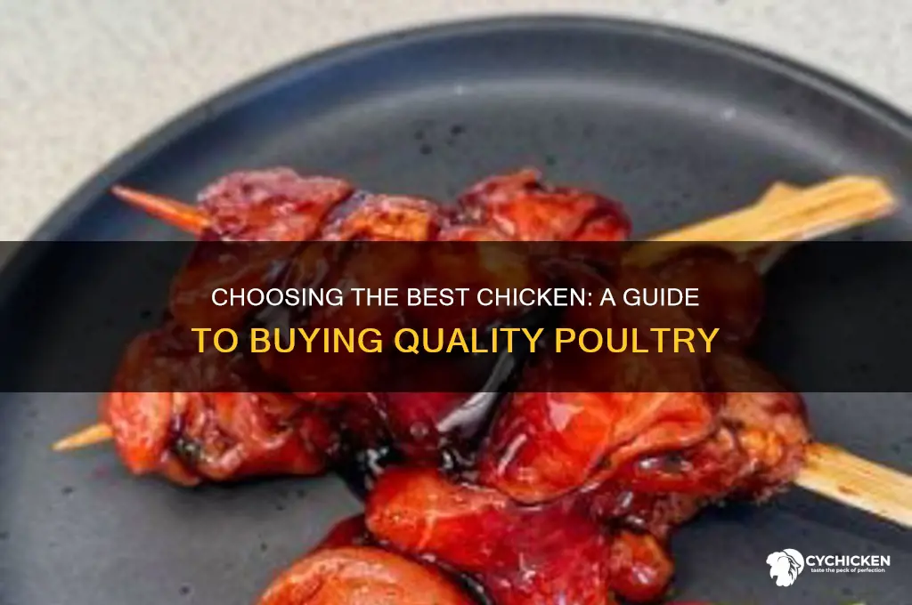 what chicken should i buy