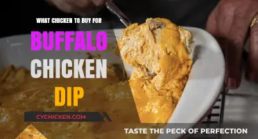 Best Chicken Choices for Creamy Buffalo Chicken Dip Recipes
