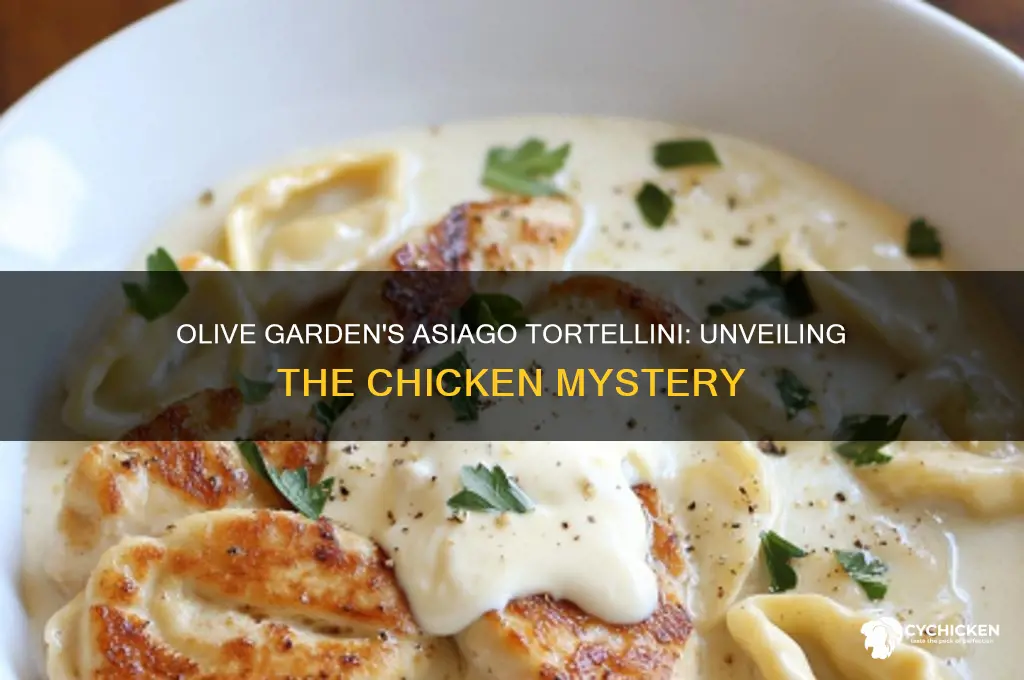 what chicken was on olive garden asiago tortellini