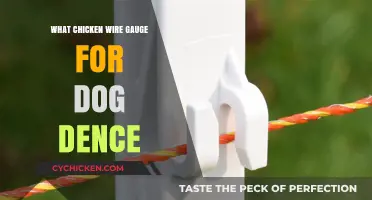 Choosing the Right Chicken Wire Gauge for Your Dog Fence