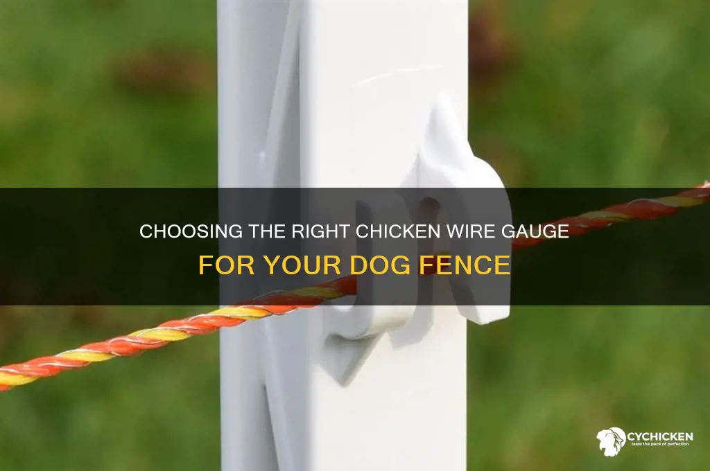 what chicken wire gauge for dog dence
