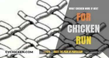 Choosing the Best Chicken Wire for Your Chicken Run: A Guide