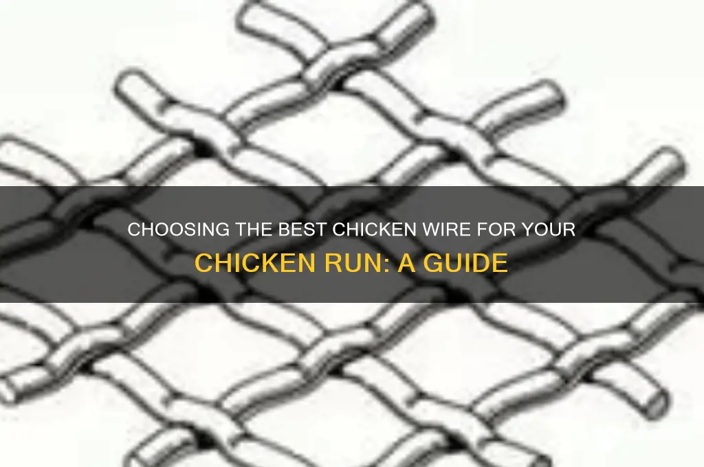 what chicken wire if best for chicken run