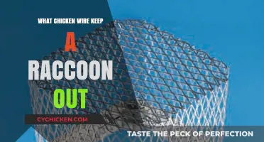 Effective Chicken Wire Solutions to Keep Raccoons Out of Gardens