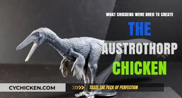 Austrothrop Chicken: The Secret to its Heritage