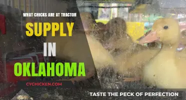 Discover the Chick Varieties Available at Oklahoma's Tractor Supply Stores