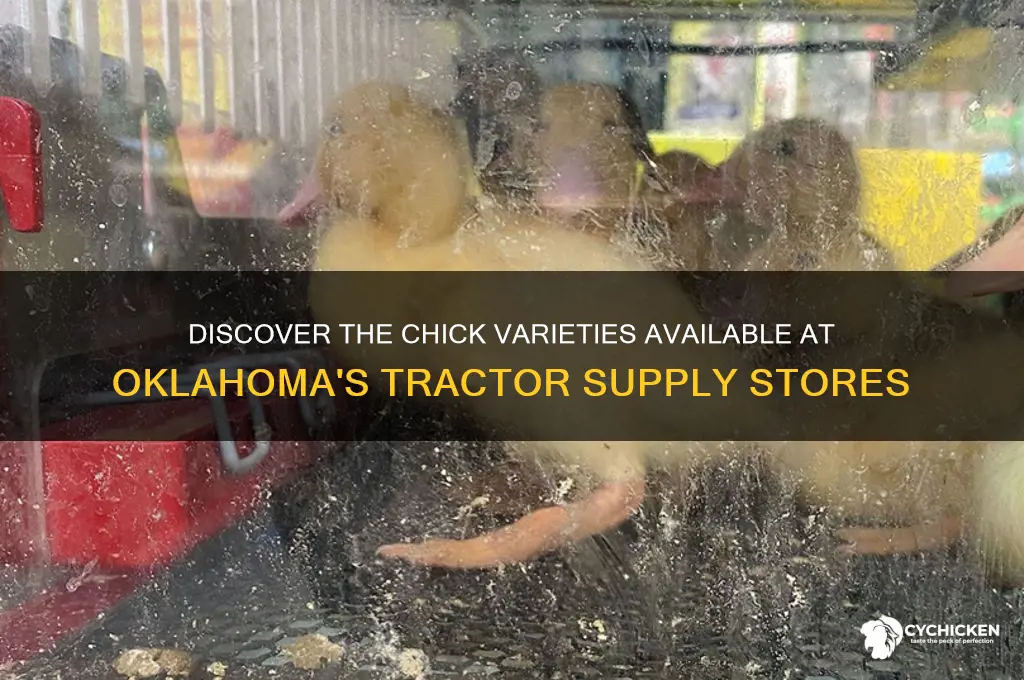 what chicks are at tractor supply in oklahoma